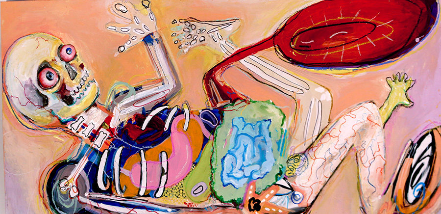 A skeleton with most of its organs